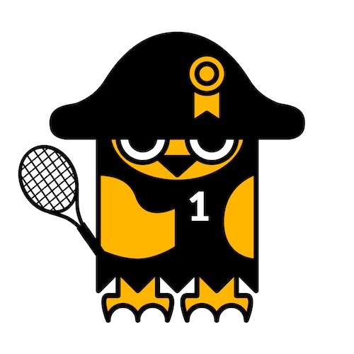 Sowa sportowiec